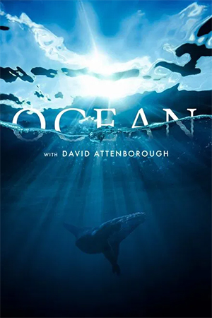 Ocean with David Attenborough (2025) Multi Audio [Hindi ORG. + English + Tamil + Telugu] Full Movie WEB-DL 480p [350MB] | 720p [500MB] | 1080p [850MB]