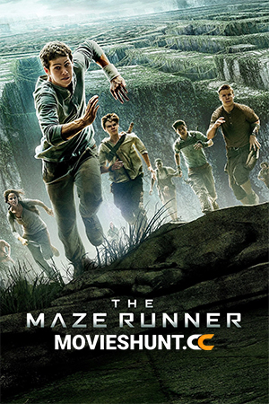 The Maze Runner (2014) BluRay Dual Audio [Hindi ORG. + English] Full Movie 480p [350MB] | 720p [1GB] | 1080p [2.9GB] | 2160p 4K [20GB]