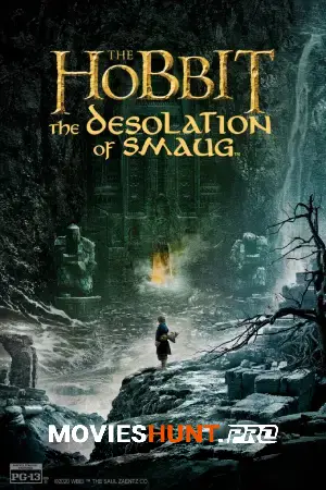 The Hobbit: The Desolation of Smaug (2013) Dual Audio [Hindi ORG. + English] 480p [500MB] | 720p [1.5GB] | 1080p [4.6GB] | 2160p 4K [9.2GB]