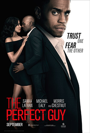 The Perfect Guy (2015) Dual Audio {Hindi-English} 480p [330MB] | 720p [900MB] | 1080p [2.1GB]