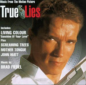 Download True Lies (1994) Dual Audio {Hindi-English} 480p [450MB] | 720p [1.2GB]