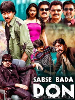 Sabse Bada Don – Don Seenu (2010) BluRay Dual Audio [Hindi ORG. + Telugu] Full Movie 480p [550MB] | 720p [1.4GB] | 1080p [3.4GB]