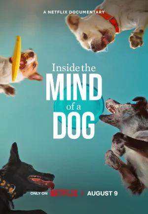 Inside The Mind Of A Dog – Netflix Original (2024) WEB-DL Dual Audio {Hindi-English} 480p [250MB] | 720p [700MB] | 1080p [1.6GB]