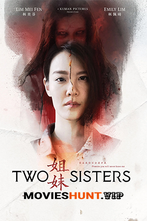 Two Sisters (2019) WEB-DL Multi Audio [Hindi ORG. + Chinese + Tamil + Telugu] Full Movie 480p [500MB] | 720p [1GB] | 1080p [2GB]