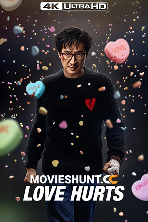 Love Hurts (2025) BluRay Dual Audio [Hindi ORG. + English] Full Movie 480p [350MB] | 720p [850MB] | 1080p [2.2GB] | 2160p 4K [7.6GB]