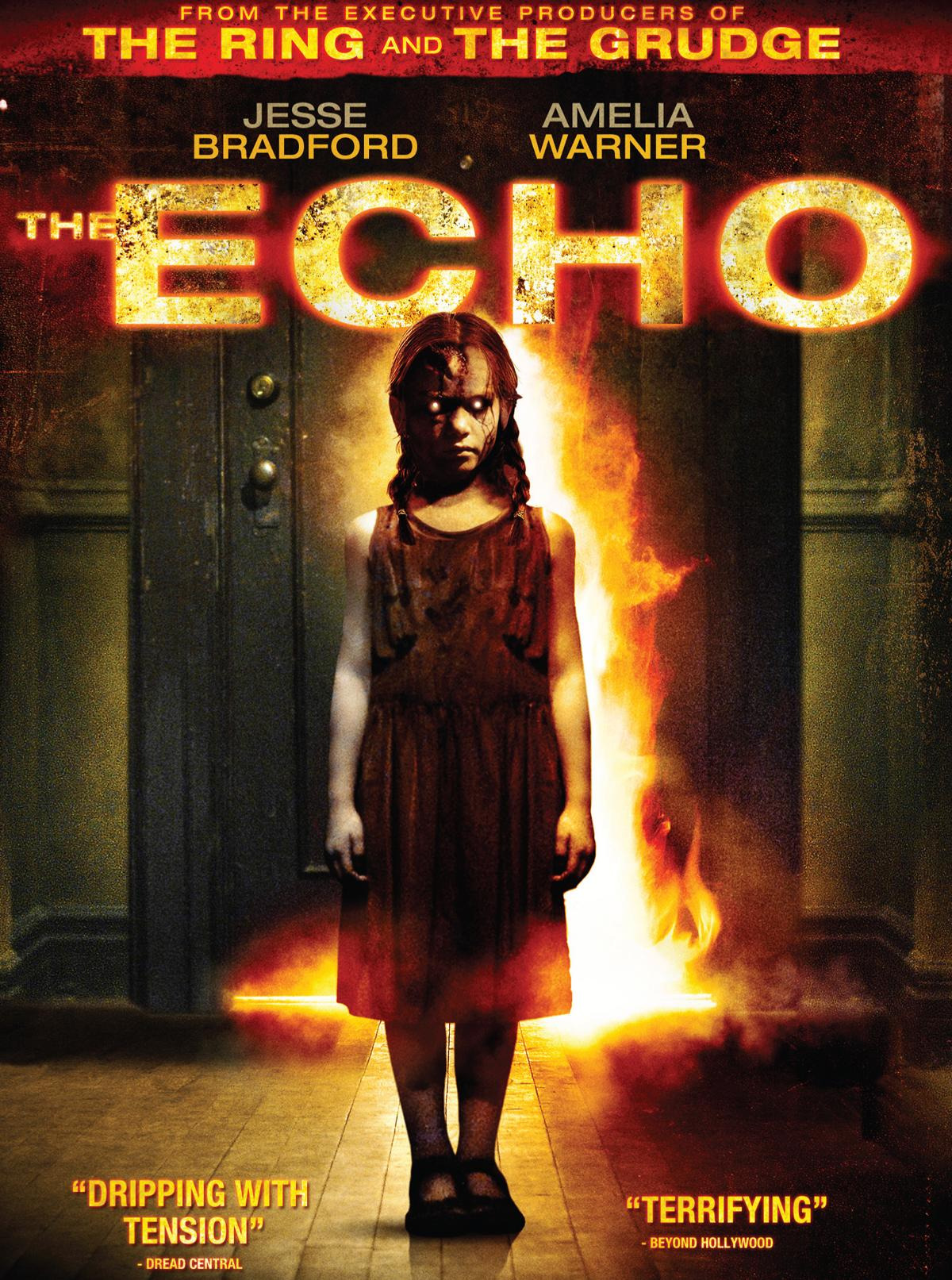 The Echo (2008) BluRay Multi Audio [Hindi ORG. + English + Tamil + Telugu] Full Movie 480p [550MB] | 720p [1.2GB] | 1080p [1.8GB]