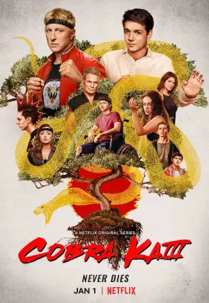 Cobra Kai – Netflix Original (2021) Season 3 Dual Audio {Hindi-English} 480p | 720p | 1080p WEB-DL