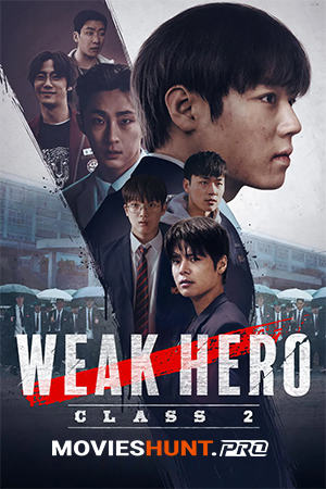 Weak Hero (Season 1-2) Netflix Original – Multi Audio {Hindi-English-Korean} WEB Series 480p 720p 1080p WEB-DL