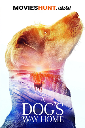 A Dog’s Way Home (2019) BluRay Multi Audio [Hindi ORG. + English + Tamil + Telugu] Full Movie 480p [550MB] | 720p [1GB] | 1080p [1.7GB]