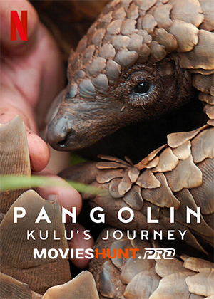 Pangolin: Kulu’s Journey (2025) Dual Audio [Hindi ORG. + English] Full Movie WEB-DL 480p [400MB] | 720p [1.2GB] | 1080p [2.6GB]