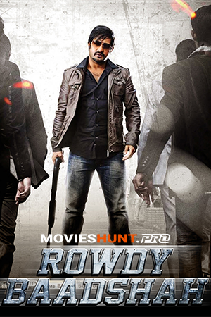 Rowdy Baadshah (2013) BluRay Dual Audio [Hindi ORG. + Telugu] Full Movie 480p [600MB] | 720p [1.2GB] | 1080p [3GB]