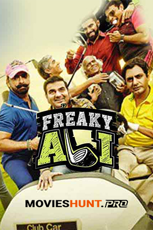 Freaky Ali (2016) WEB-DL Hindi Full Movie 480p [400MB] | 720p [1.1GB] | 1080p [2.3GB]