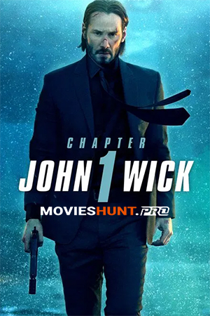 John Wick (2014) BluRay Multi Audio [Hindi ORG. + English + Tamil + Telugu] Full Movie 480p [700MB] | 720p [1GB] | 1080p [1.8GB] | 2160p 4K [4.5GB]