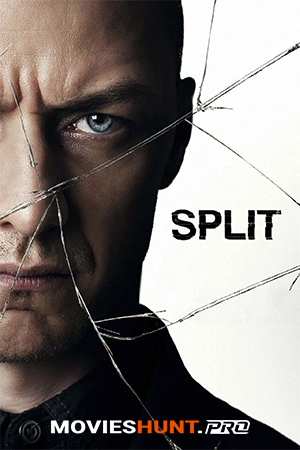 Split (2016) BluRay Dual Audio [Hindi ORG. + English] Full Movie 480p [400MB] | 720p [1GB] | 1080p [2.3GB]