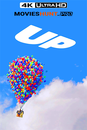 Up (2009) BluRay Dual Audio [Hindi ORG. + English] Full Movie 480p [350MB] | 720p [1GB] | 1080p [2GB]
