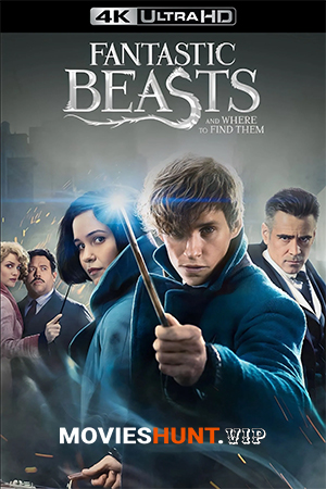 Fantastic Beasts and Where to Find Them (2016) Multi Audio [Hindi ORG. + English + Tamil + Telugu] Full Movie 480p [700MB] | 720p [1.4GB] | 1080p [3.1GB] | 2160p 4K [6.7GB]