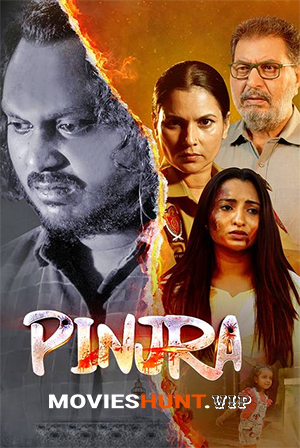 Pinjra (2025) WEB-DL Punjabi Full Movie 480p [550MB] | 720p [1.3GB] | 1080p [2.5GB]