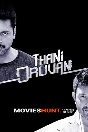 Thani Oruvan (2015) Dual Audio [Hindi ORG. + Tamil] Full Movie WEB-DL 480p [500MB] | 720p [1.4GB] | 1080p [2.9GB]