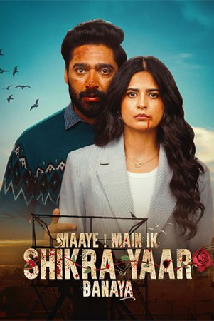 Maaye Main Ik Shikra Yaar Banaya (2025) Season 1 Complete Punjabi WEB Series 720p | 1080p WEB-DL