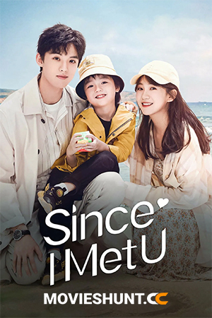 Since I Met U (2022) Season 1 Complete Dual Audio [Hindi ORG. + Chinese] (Chinese Drama) 720p | 1080p WEB-DL
