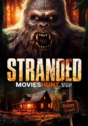 Stranded (2023) WEB-DL Dual Audio [Hindi ORG. + English] Full Movie 480p [300MB] | 720p [800MB] | 1080p [1.7GB]