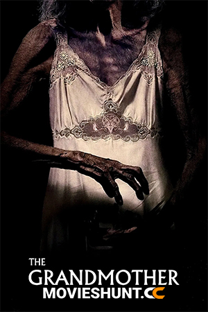 The Grandmother (2021) BluRay Dual Audio [Hindi ORG. + Spanish] Full Movie 480p [350MB] | 720p [1GB] | 1080p [2GB]
