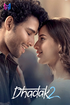 Dhadak 2 (2025) NF WEB-DL Hindi Full Movie 480p [350MB] | 720p [1.1GB] | 1080p [2.2GB] | 2160p 4K [18.1GB]