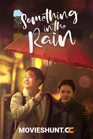 Something in the Rain (2018) Season 1 Dual Audio [Hindi + Korean] Complete Kdrama WEB Series WEB-DL 720p | 1080p