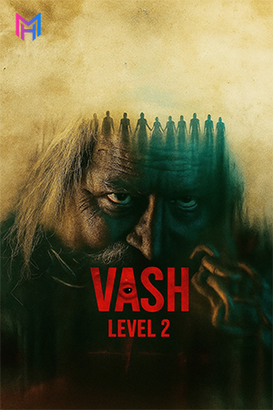 Vash Level 2 (2025) WEB-DL Dual Audio [Hindi ORG. + Gujarati] Full Movie 480p [400MB] | 720p [1GB] | 1080p [2.2GB] | 2160p 4K [9.5GB]