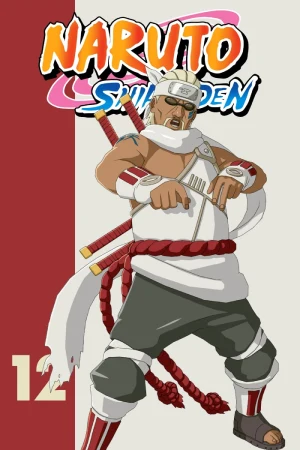 Naruto: Shippuden – Season 12 Complete Multi-Audio {Hindi-English-Japanese} Anime Series 720p | 1080p WEB-DL