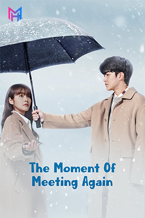 The Moment Of Meeting Again (Season 1) Complete Hindi Dubbed (ORG) Amazon WEB Series 720p | 1080p WEB-DL